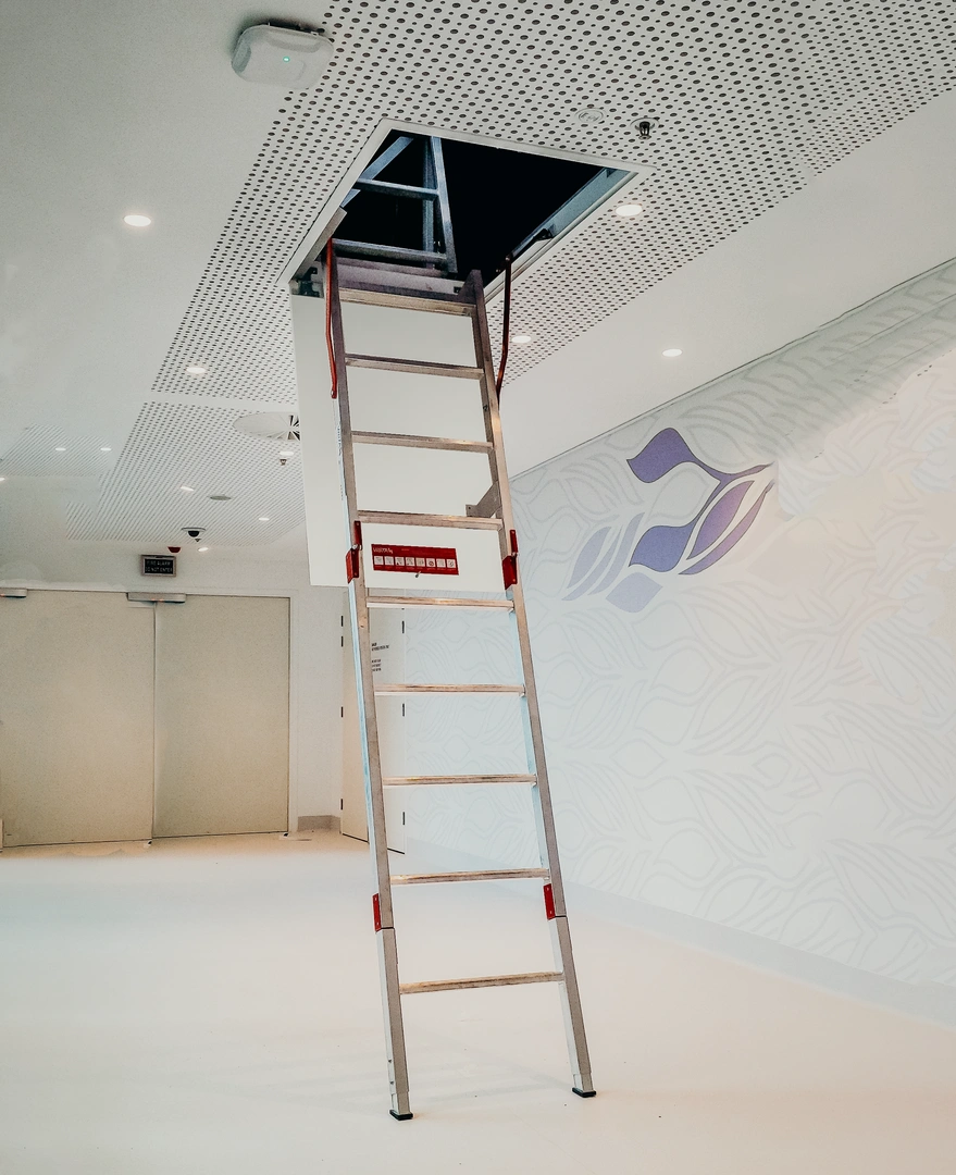 rl60 fold down ladder