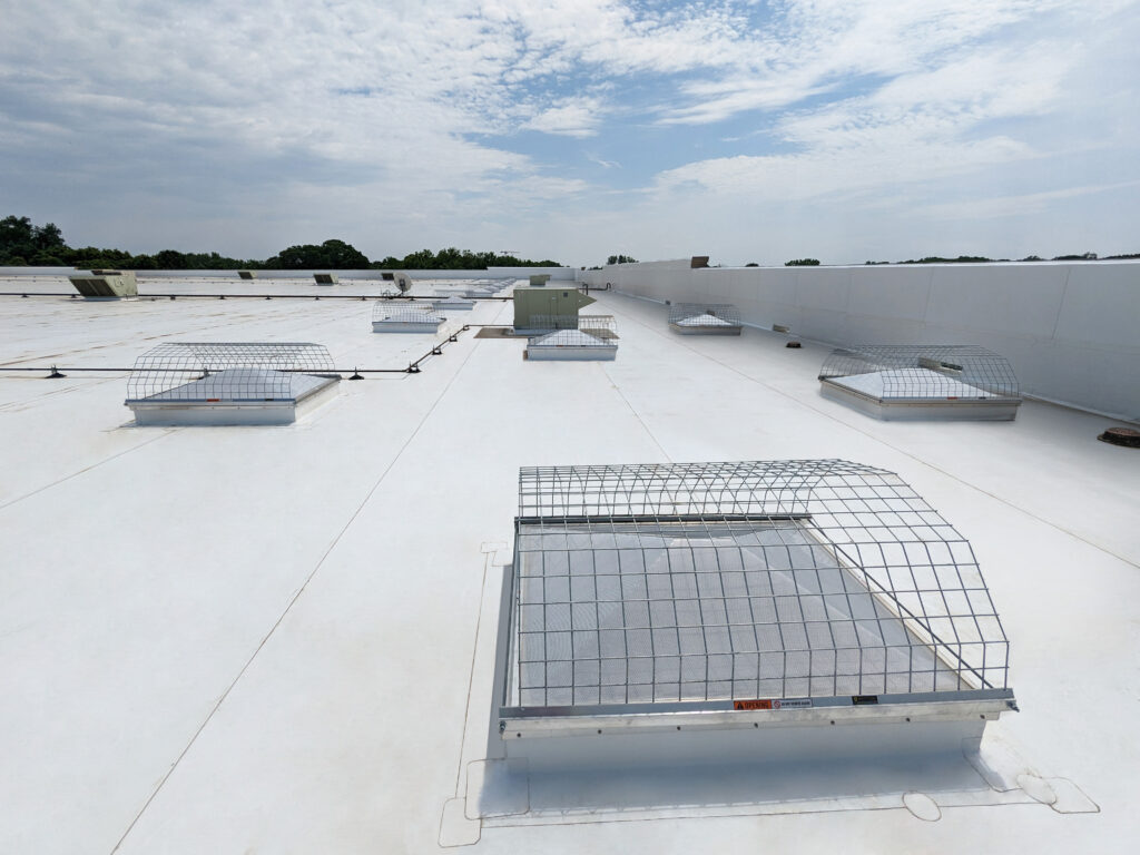 skylight guards